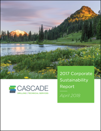 2017 Corporate Sustainability Report